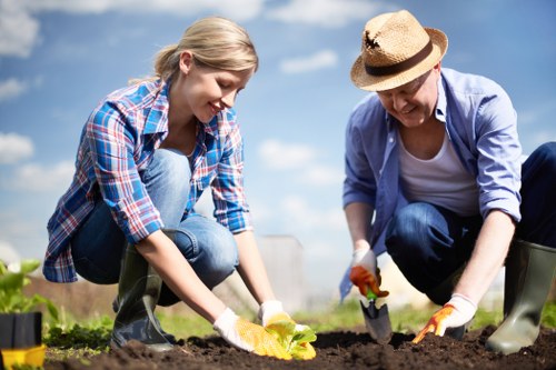 Risk assessment and safe tree surgery procedures in Dalston