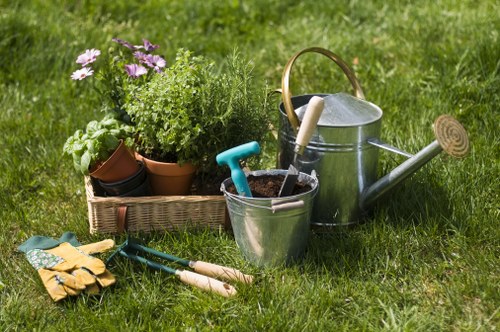Tree Surgeons Dalston website cookie policy introduction