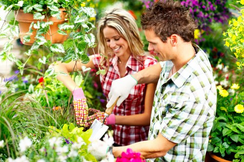 Healthy maintained trees enhancing a Dalston neighborhood