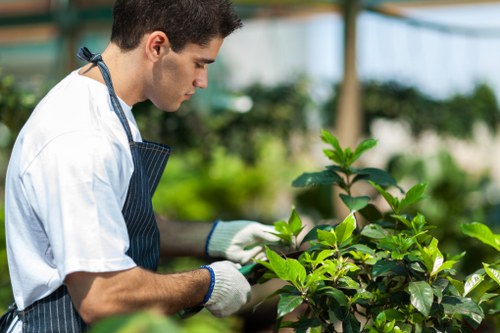 Internal review of a tree service complaint