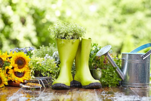 Public liability insurance and professional tree surgery planning in Dalston