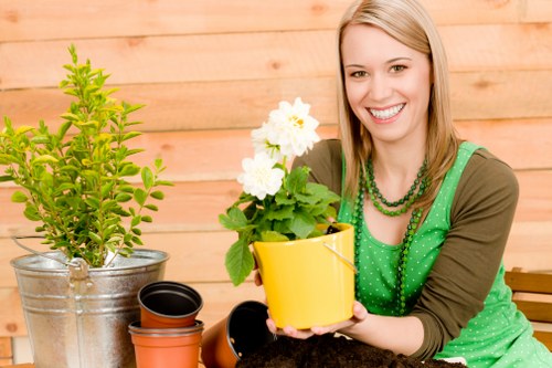 Sustainable tree surgery and recycling practices in Dalston